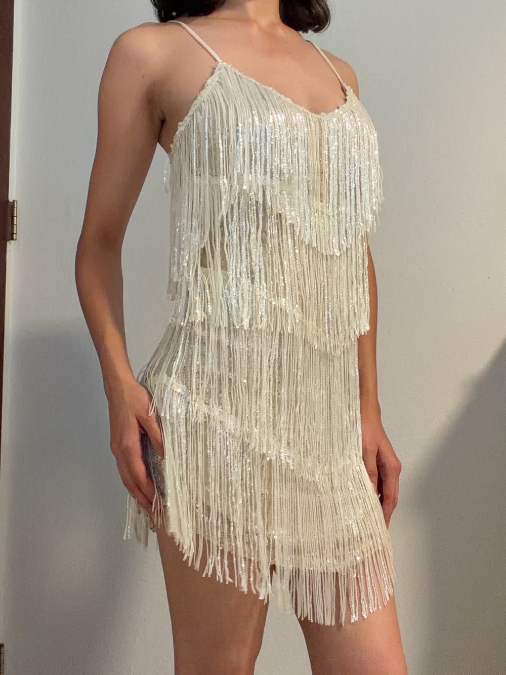 Windsor Ivory Sequin Fringe Mini Dress